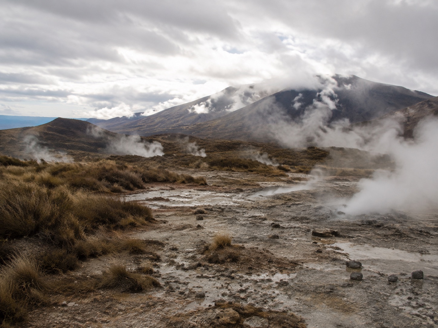 北岛罗托鲁瓦两日游|每周一、周六|Auckland至Auckland