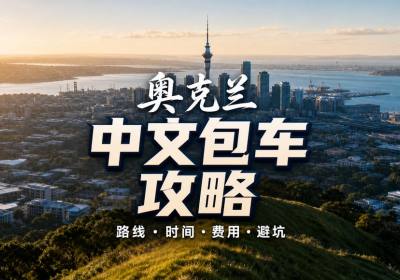 奥克兰中文包车攻略：路线、时间、费用与避坑指南